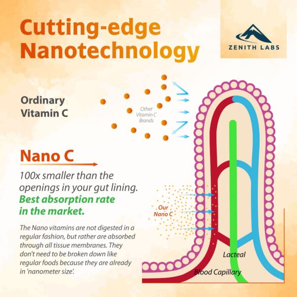suplemento natural vitamina c líquido zenith labs