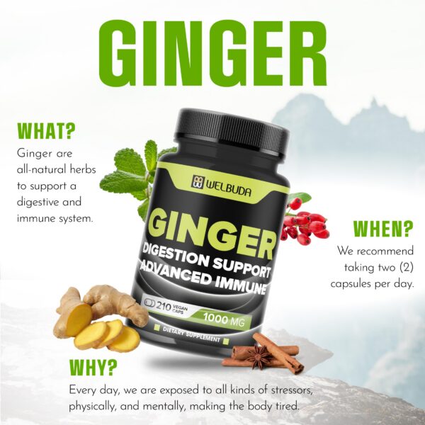 Suplemento natural WELBUDA con ingredientes equilibrados 210 cápsulas