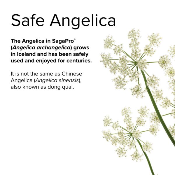 Suplemento nutricional para confort vesical SagePro