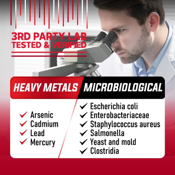 Suplemento nutricional DEDICAD Akkermansia Probiotic