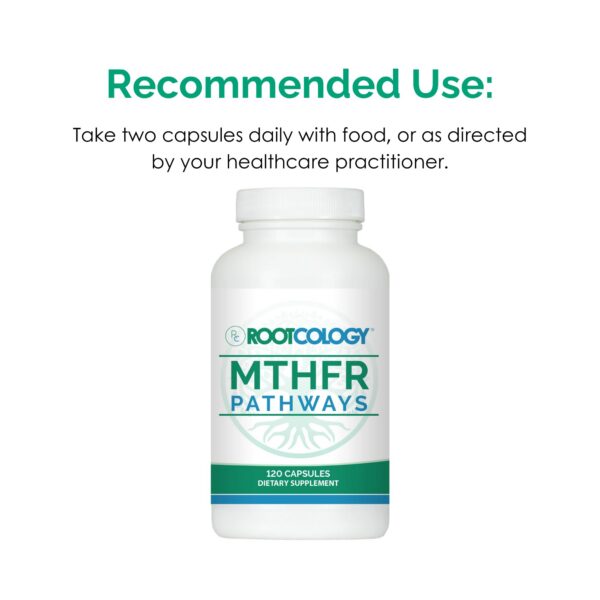 Suplemento nutricional Rootcology para bienestar general