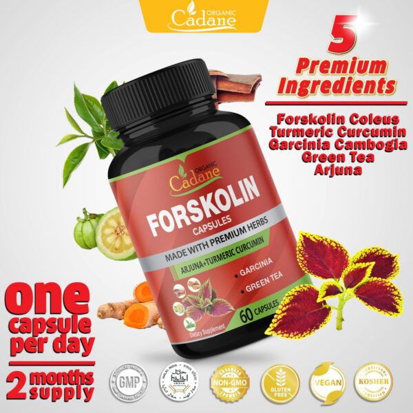 Suplemento orgánico con garcinia cambogia y cúrcuma