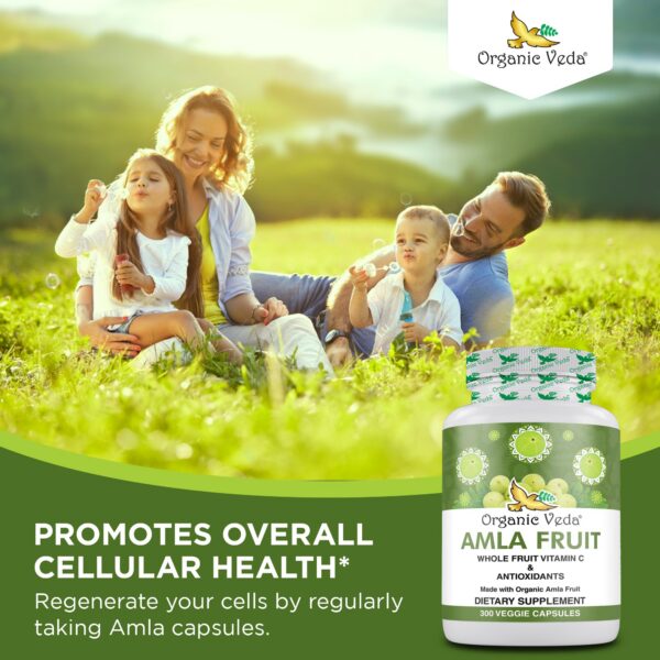 Version 1.0.0 Suplemento orgánico vitamina C Amla para salud integral