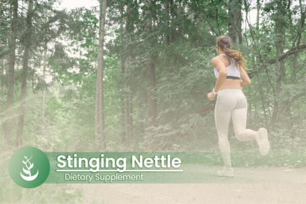 Suplemento ortiga cápsulas PURE ORIGINAL INGREDIENTS calidad pura