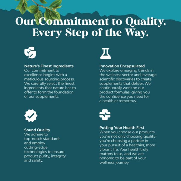 Version 1.0.0 Cápsulas Natures Craft vitamina B3 en paquete