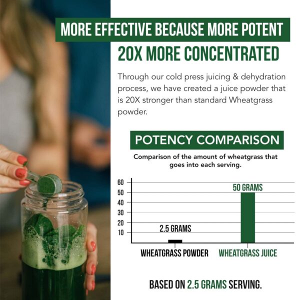 Version 1.0.0 Suplemento polvo de hierba de trigo orgánico prensado en frío