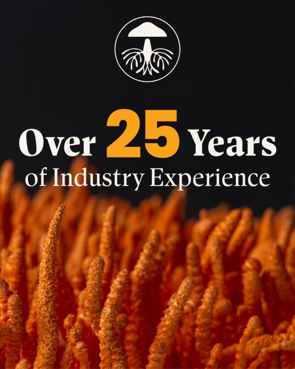 Comparación de Mezcla de Melena de León con Reishi Mushroom Wellness