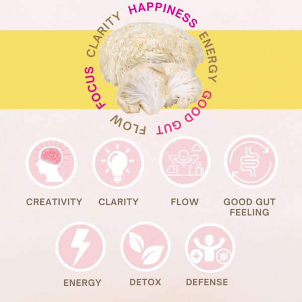 Suplemento polvo orgánico melena de león para foco mental