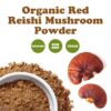 Suplemento polvo Reishi rojo rico en antioxidantes y fibra
