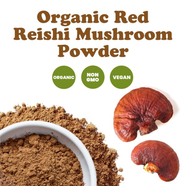 Suplemento polvo Reishi rojo rico en antioxidantes y fibra
