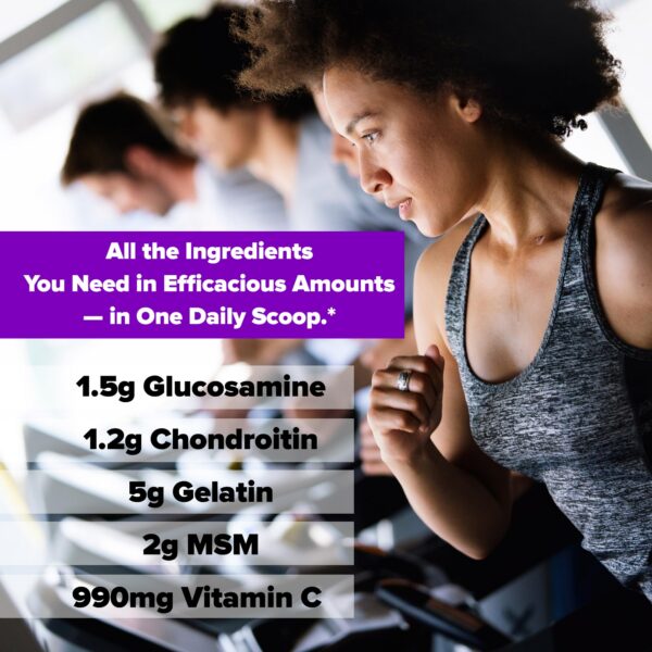 Version 1.0.0 Suplemento en polvo para salud articular Labrada