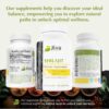 Suplemento premium Jiva Botanicals Shilajit