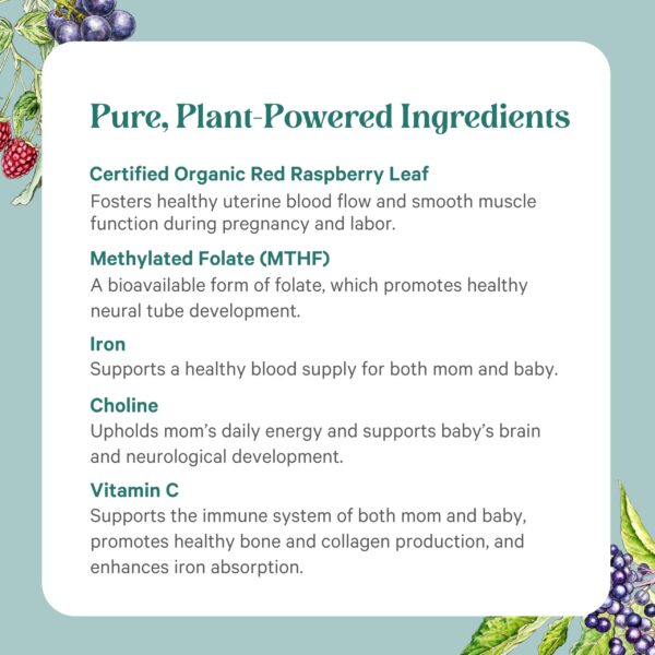 Suplemento prenatal vegano PURE SYNERGY con hierro y folato natural