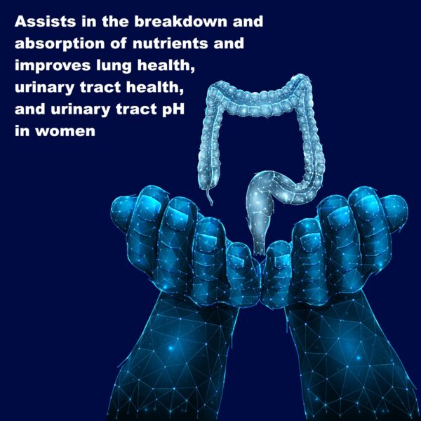 Suplemento probiótico LifeLink microbioma saludable 60 cápsulas