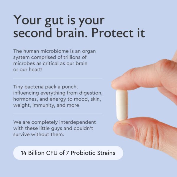 Version 1.0.0 Suplemento probiótico y prebiótico para salud intestinal