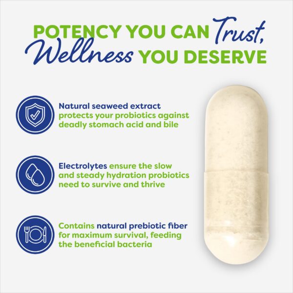 Cápsulas para salud intestinal y bienestar con Probulin Daily Care