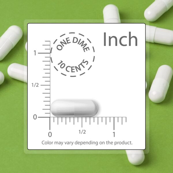 Suplemento probiótico resistent al ácido estomacal 60 cápsulas