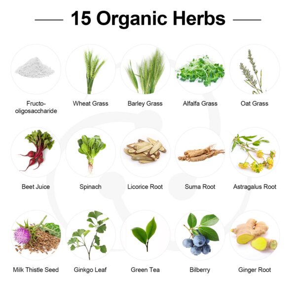 Suplemento probiótico vegano Dmeisy sin soya ni huevo