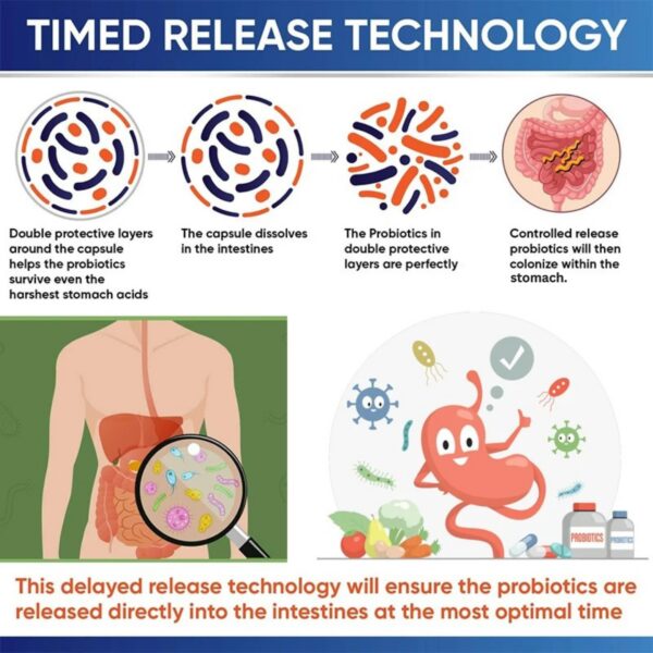 Suplemento probióticos therasuva con enzimas y prebióticos