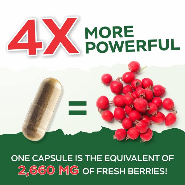 Suplemento Purely Holistic sin GMO con ingredientes naturales