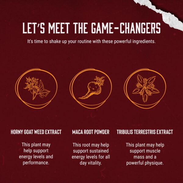 Suplemento de rendimiento masculino Horny Goat Weed con ingredientes naturales