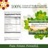 Suplemento con Rhodiola Rosea y Hongo Reishi