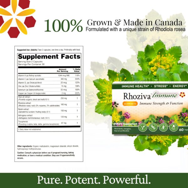 Suplemento con Rhodiola Rosea y Hongo Reishi