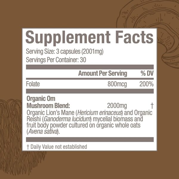 Suplemento con sabor agradable OM Mushroom Energy Brain Fuel