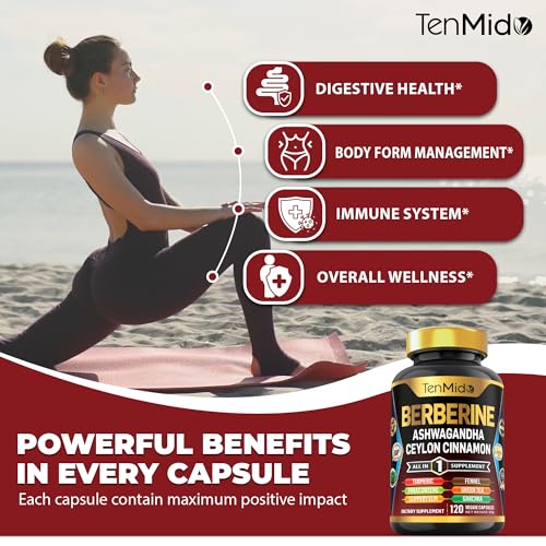 Version 1.0.0 Suplemento de salud digestiva Tenmido Berberina y cúrcuma