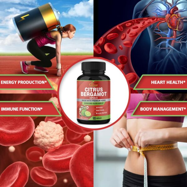 Version 1.0.0 Suplemento natural de cápsulas con ingredientes seleccionados Cadane