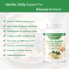 Version 1.0.0 Suplemento saludable natural de DR HERBAL WELL para bienestar
