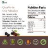 Suplemento Sayan Chaga Shilajit adaptógeno natural energía y sistema inmune