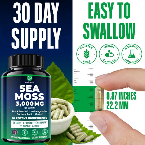 Suplemento Sea Moss con mezcla avanzada de superalimentos
