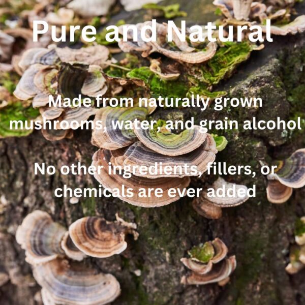 Suplemento de setas turkey tail mag mushrooms extracto liquido