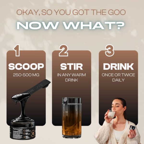 Suplemento Shilajoy Himalaya mejora sistema inmune y energía