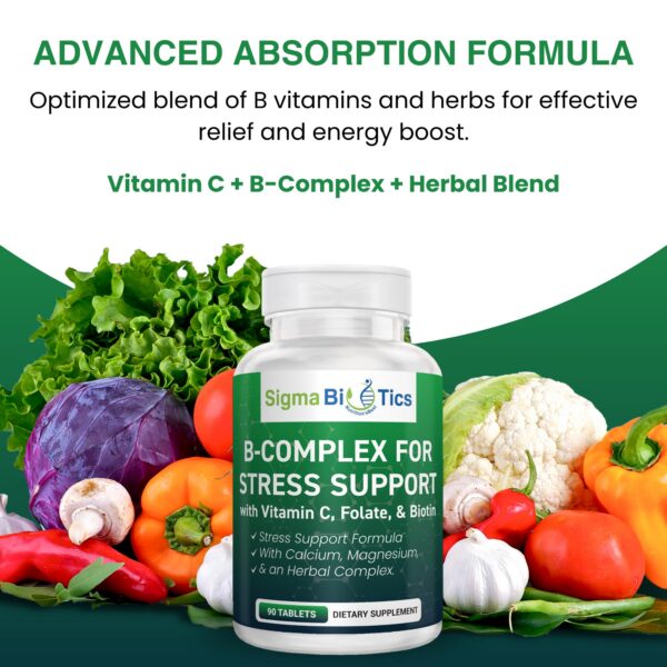 Version 1.0.0 Suplemento SigmaBiotics complejo B para salud nerviosa y ánimo
