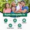 Suplemento Simply Potent Ashwagandha cápsulas orgánicas