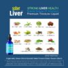 Version 1.0.0 Suplemento sin gluten ni azúcar para función hepática óptima