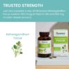 Suplemento sin gluten y vegano Himalaya Ashwagandha