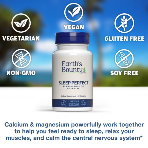 Suplemento Sleep Perfect ingredientes naturales y efectivos