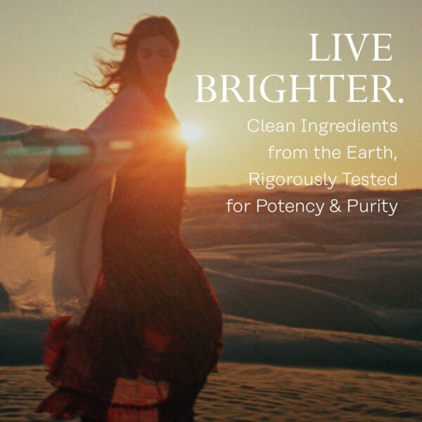 Version 1.0.0 Suplemento solaray extracto arándano vegano visión saludable