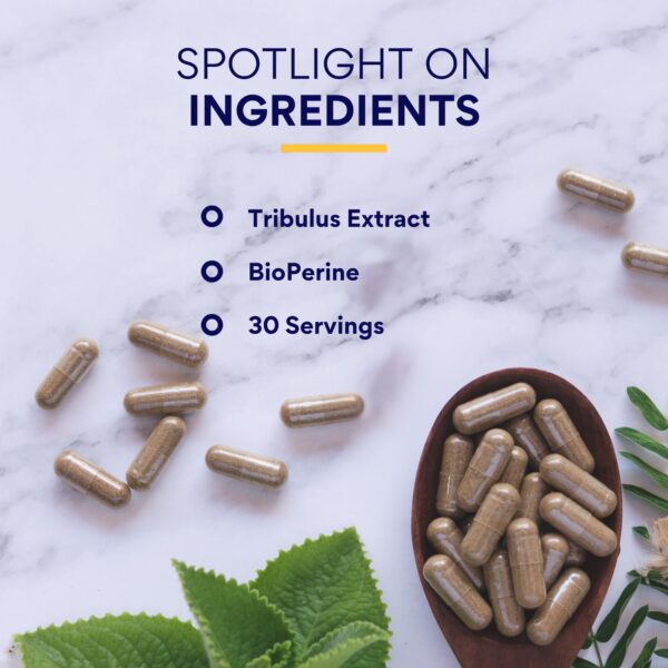 Suplemento para stamina y resistencia física