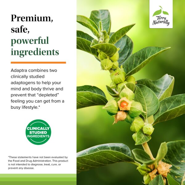 Suplemento Terry Naturally Adaptra envase lateral