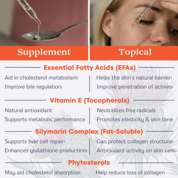 Suplemento todicamp cardo mariano líquido desintoxicación