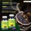 Suplemento vegano de hongos funcionales Lions Mane Essentialife