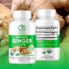 Suplemento vegano cápsulas jengibre orgánico OS Organic Side