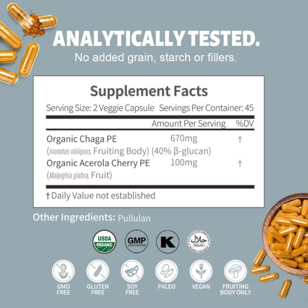 Suplemento vegano cápsulas polvo de hongos chaga 90 caps