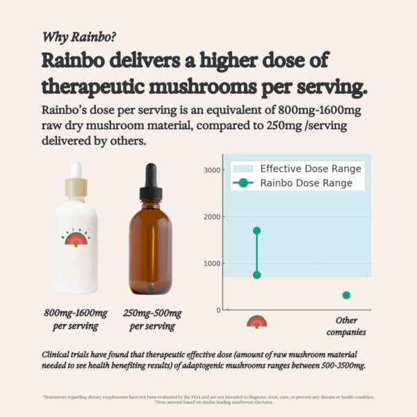 Apoyo celular y anti envejecimiento hongo chaga Rainbo