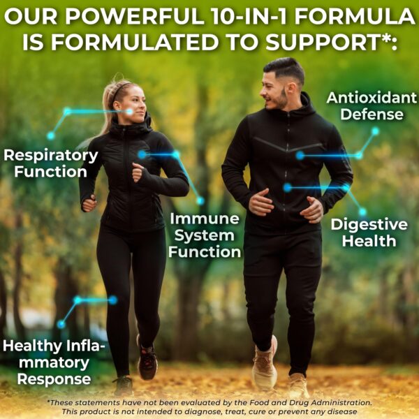 Version 1.0.0 Suplemento vegano con extractos orgánicos y sin rellenos