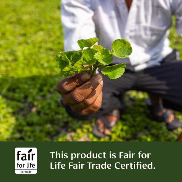 Version 1.0.0 Suplemento vegano Gotu Kola para cuidado cerebral